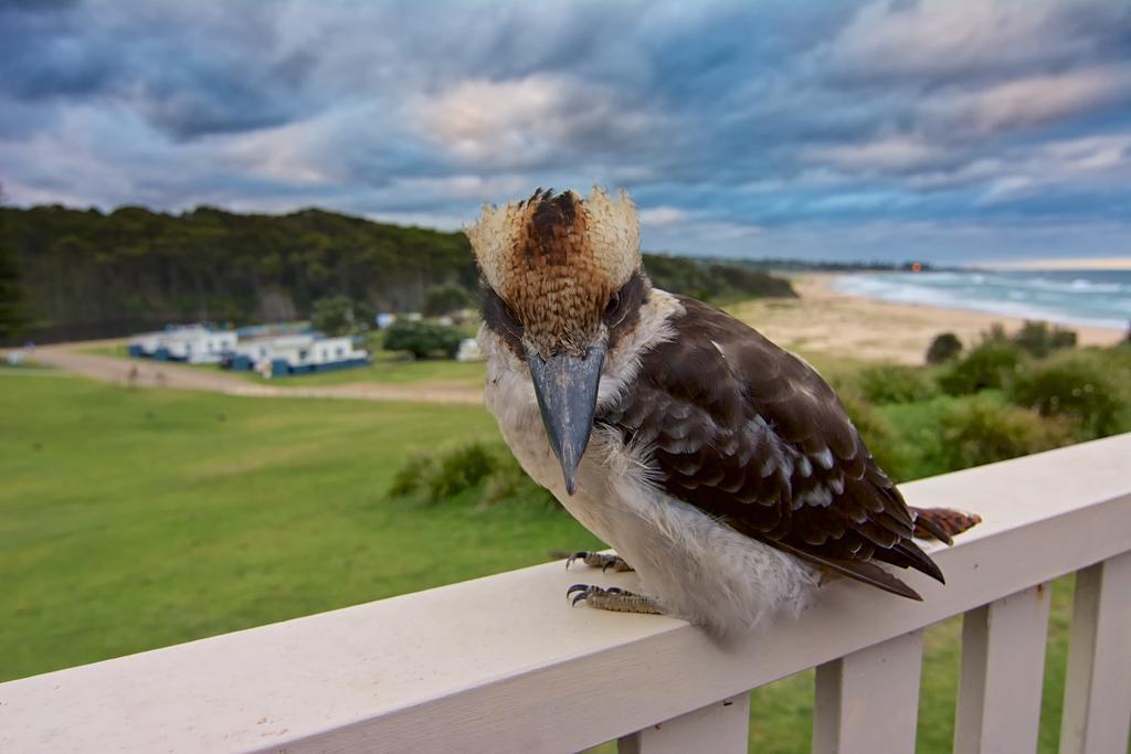 Beachcomber Holiday Park Potato Point Buitenkant foto